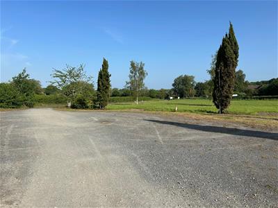 Picture 20